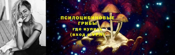 тгк Верхний Тагил